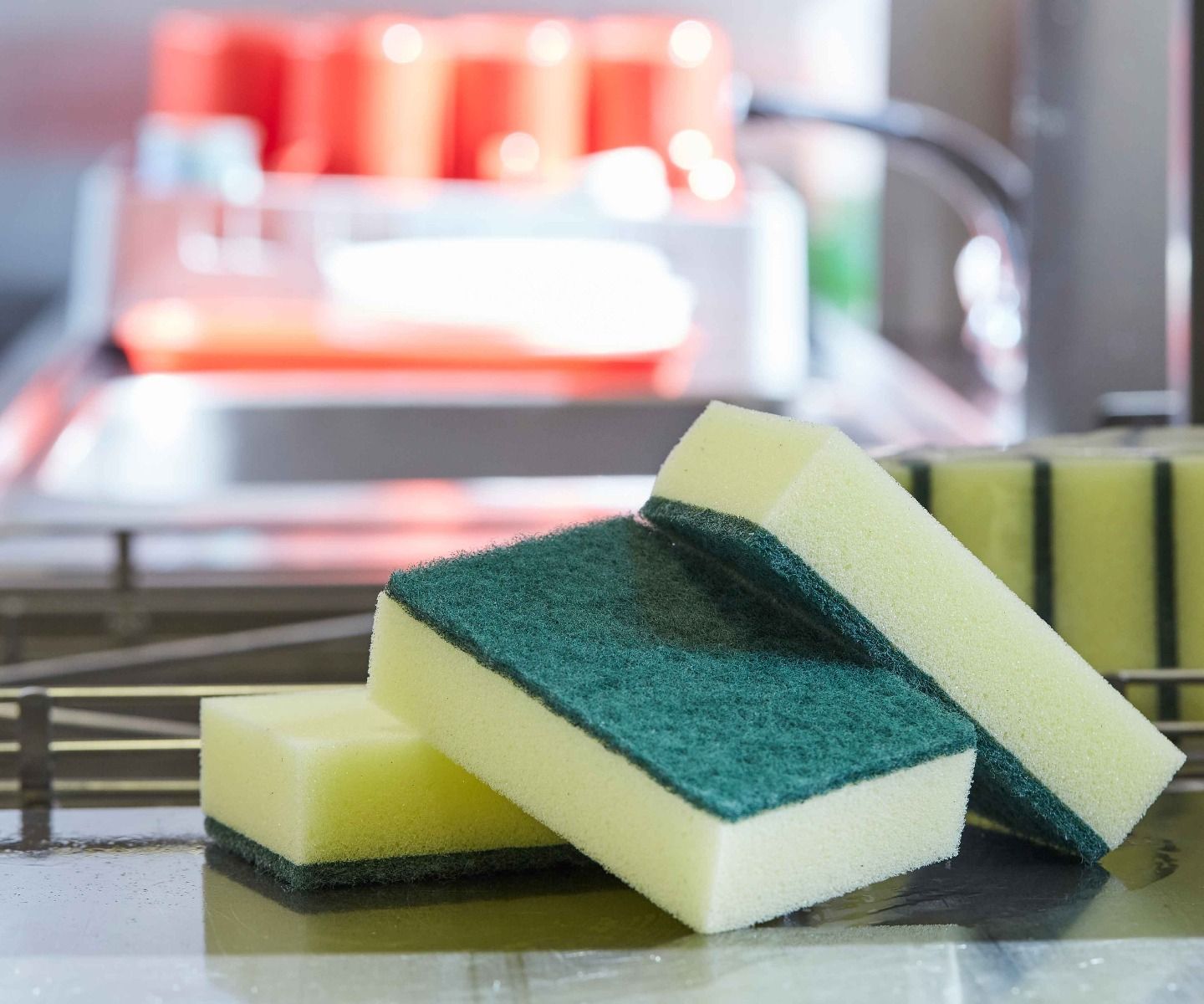 robert-scott-caterers-sponge-scourer-hero-2